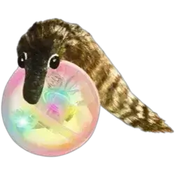 Cat Toy ball