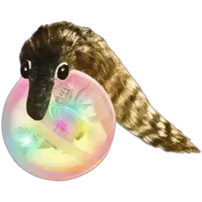 Cat Toy ball