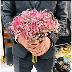Gypsophila Flower