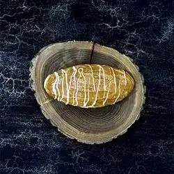 Croissant Stuffed Caramel