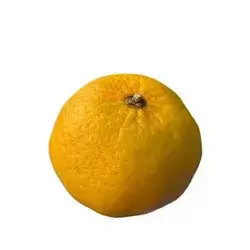 Tangerine