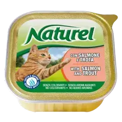 For Adult Cat With Salmon Flavour 100g