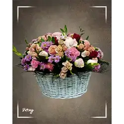 Basket Flower