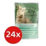 Carpathian Salmon In Sauce 24x