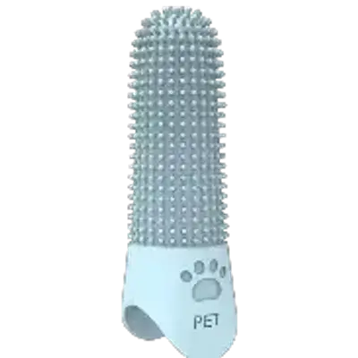 Tooth Brush