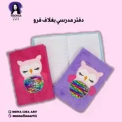 Sequin Detail Owl Embroidered Notebook