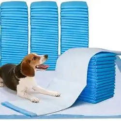 Hygiene/Pee Pads - 20X