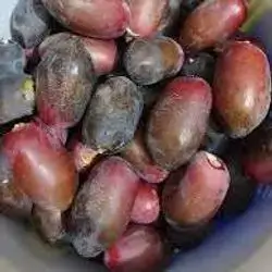 Red Mountain Dates