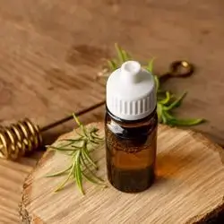 Sedar Oil
