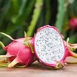Dragon Fruit