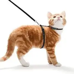 Cat Leash & Harness 15-25cm