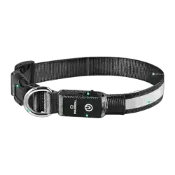Masbrill Dog LED Collar
