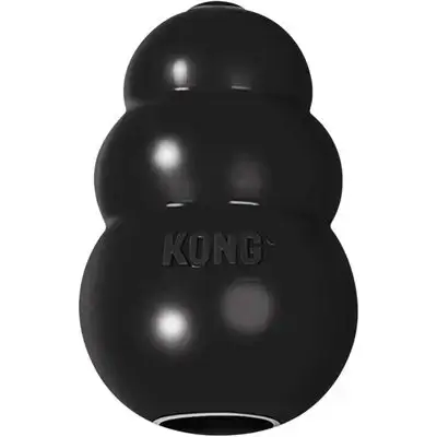 Food Dispenser Toy