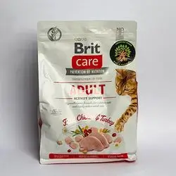 Brit Care - Adult Activity Support