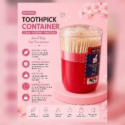 Wooden Toothpicks 290 Pcs