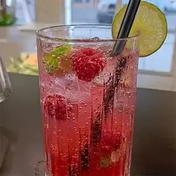 Raspberry Mojito