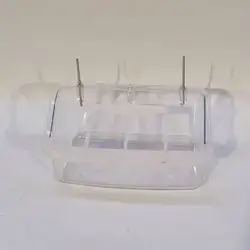 Bird Feeding Place