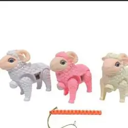 Lamb