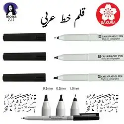 Calligraphy Pen 