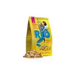 Rio Parakeets 1 Kg