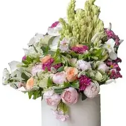 Mixed Flower Box With Lily