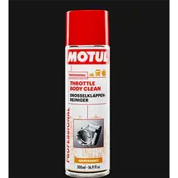 THROTTLE BODY CLEAN