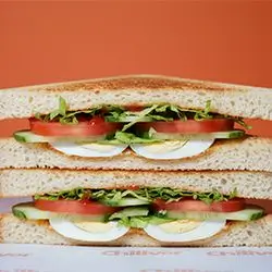 Classic Sandwich