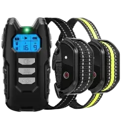 Dog Training Collar