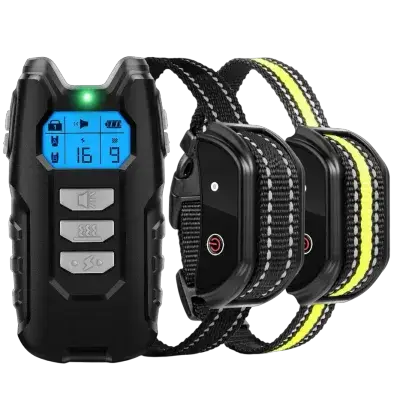 Dog Training Collar