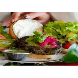 The Veggie Burger