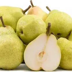 Iraqi Pear