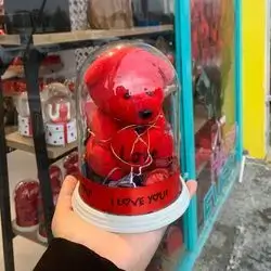 Bear Gift