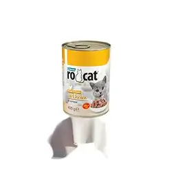 Rocat Kitten Chicken
