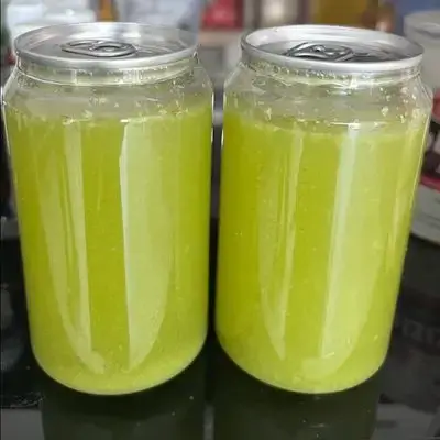 Lemon Mint Juice