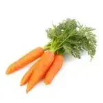 Carrots