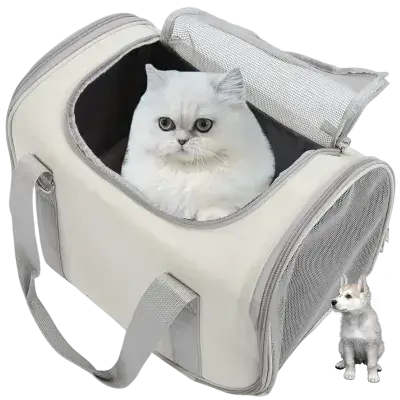 Pet Carrier Bag