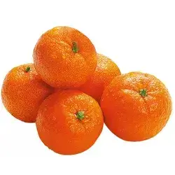 Iraqi Tangerine