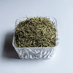 Rosemary