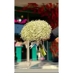 Gypsophila Flower