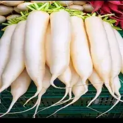 White Radish