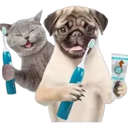 Electric toothbrush