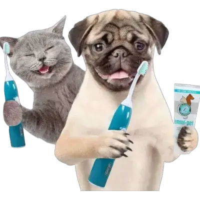 Electric toothbrush