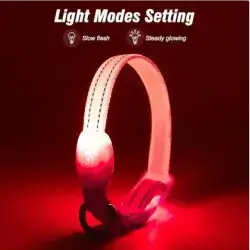 Pet LED Collar