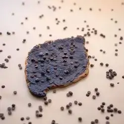 Chocolate Chip Flat Croissant