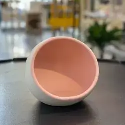Floor Feeding Anti-Vomit Ceramic Pet Bowl