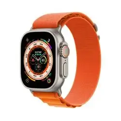 Alpine Loopback Strap Band Watch