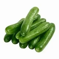 Cucumber Premium Kg