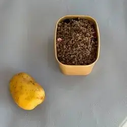 کۆمپیر بە گۆشت