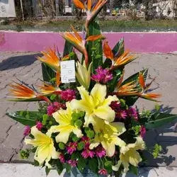 Box Flower's