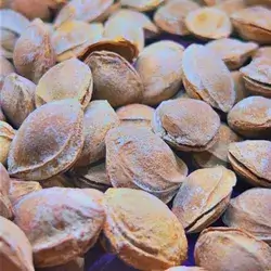 Salt Roasted Apricot
